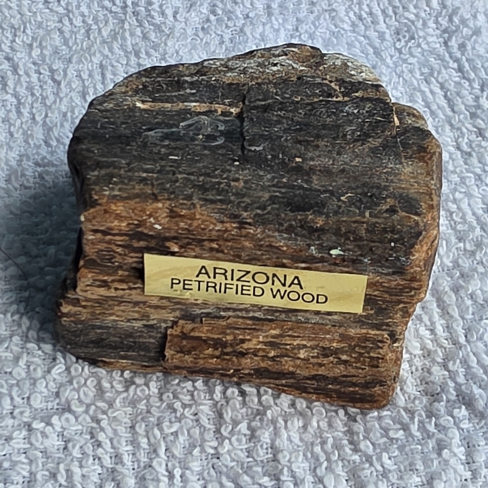 Arizona Jean Company Petrified Wood Decor - Rich Brown